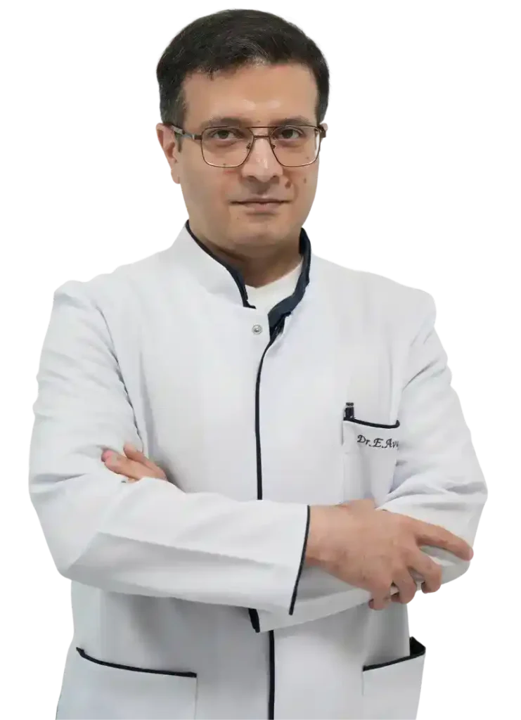 Էդուարդ Արկադիի Ավագյանի հիմնական նկար